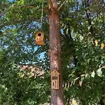 Firdaus-bihać, Dobrenica Bb * Bihać