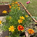 Firdaus-bihać, Dobrenica Bb Сasa de vacaciones Bihać