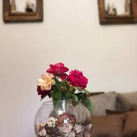 Firdaus-bihac, Dobrenica Bb * Bihać