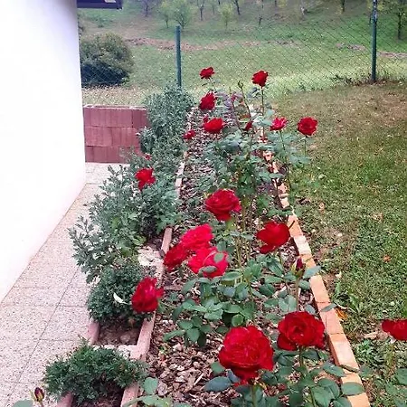 Firdaus-bihac, Dobrenica Bb * Bihac