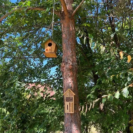 Firdaus-bihac, Dobrenica Bb * Bihać