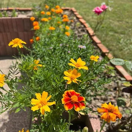 Firdaus-bihac, Dobrenica Bb Feriehus Bihać