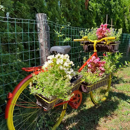 Firdaus-bihac, Dobrenica Bb Bihać